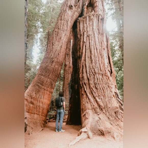 Meet your Posher, Emily - Picture 2 of 6